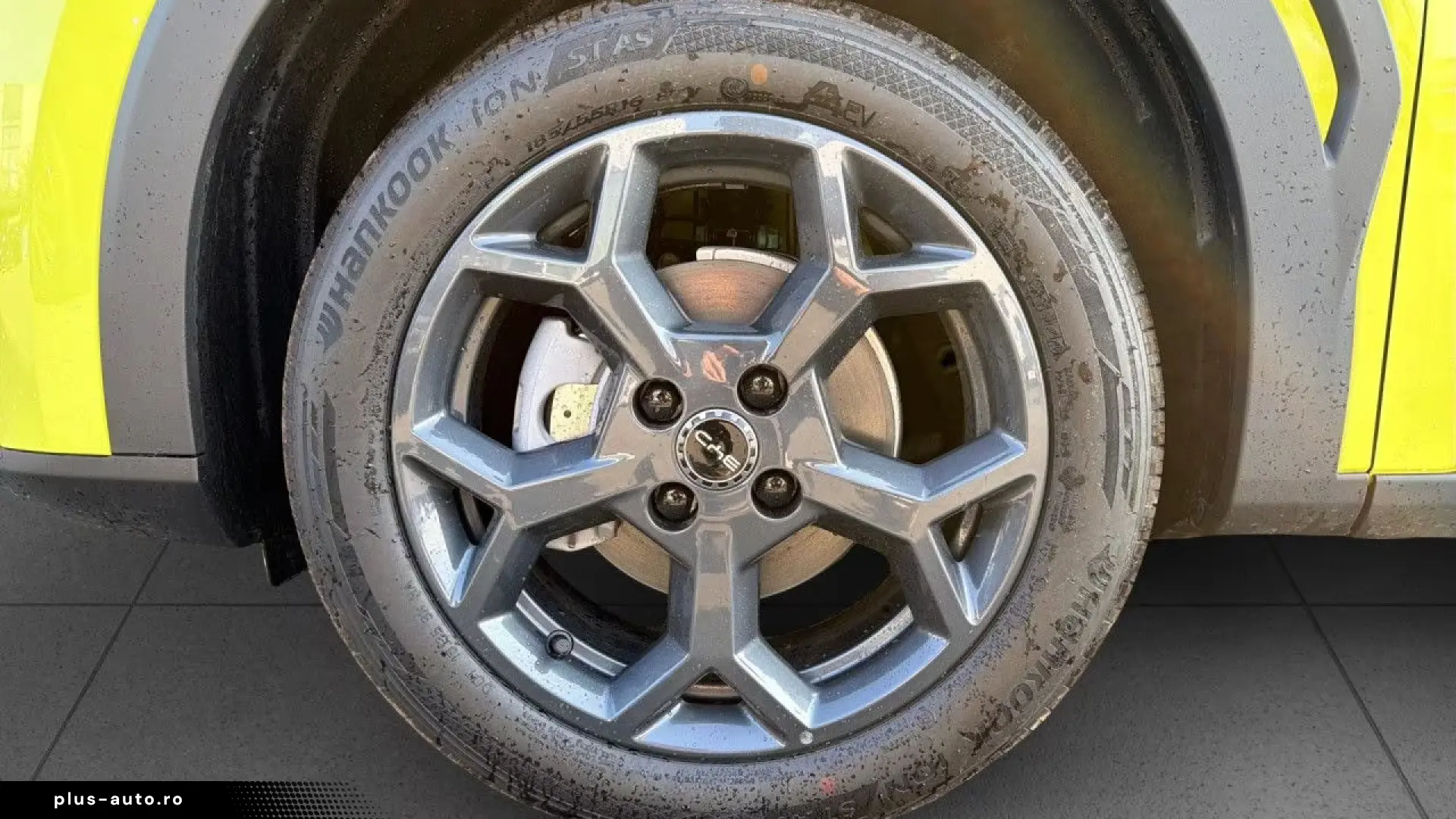 BYD DOLPHIN SURF BOOST