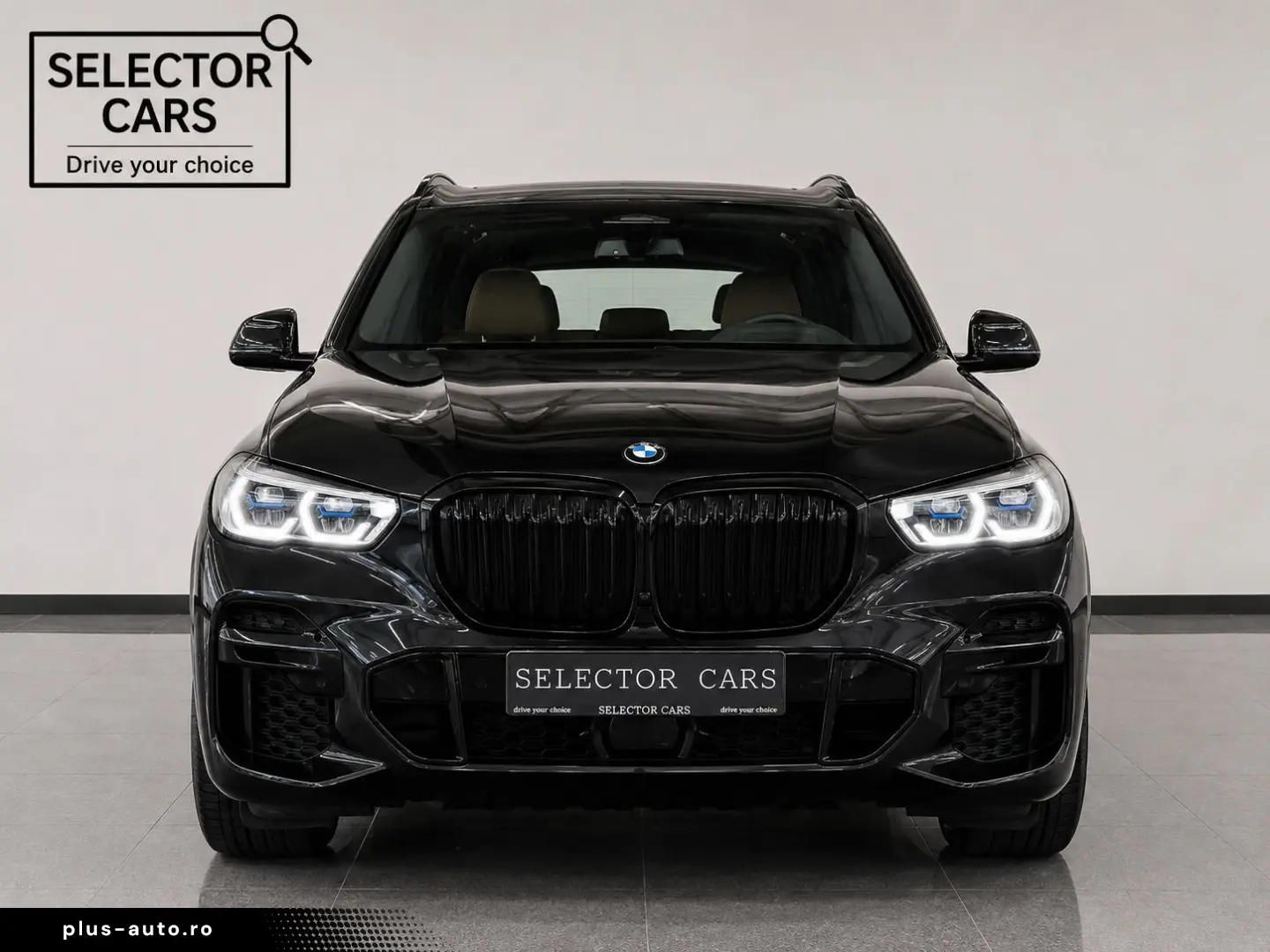 BMW X5 xDrive45e M Sport ACC AHK H&K
