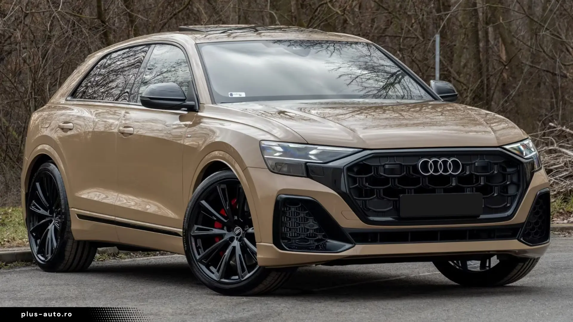 Audi Q8 50 TDI Quattro S-Line   Finanțare Leasing
