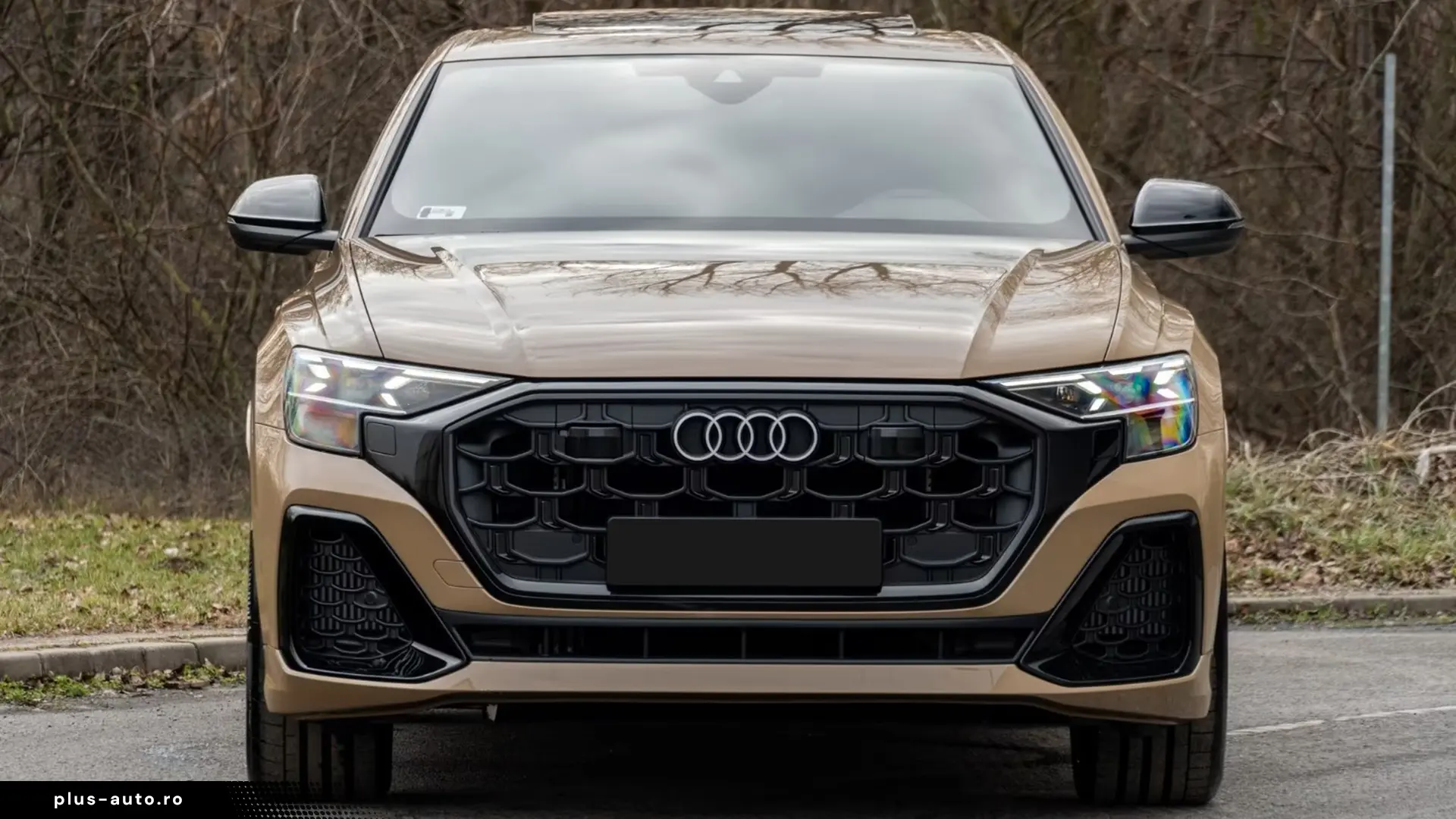 Audi Q8 50 TDI Quattro S-Line   Finanțare Leasing