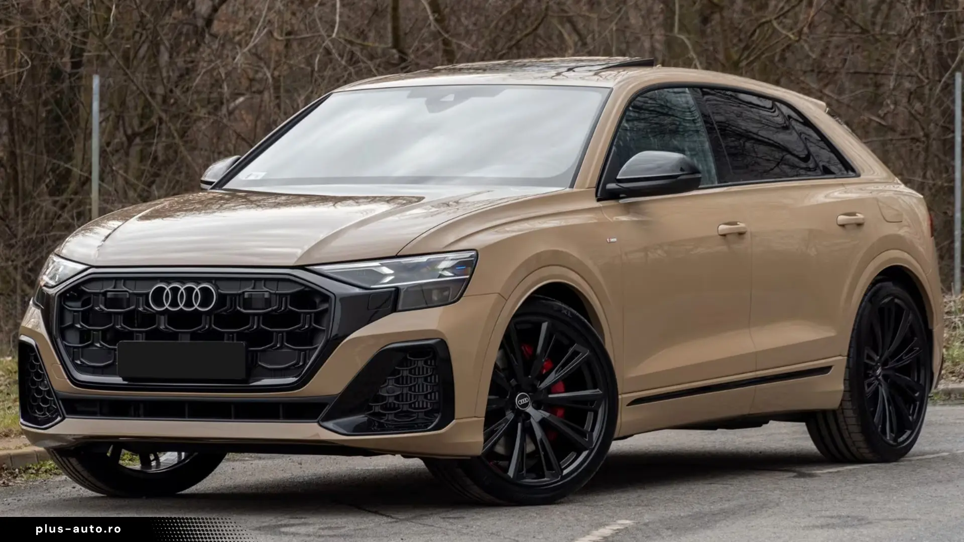 Audi Q8 50 TDI Quattro S-Line   Finanțare Leasing
