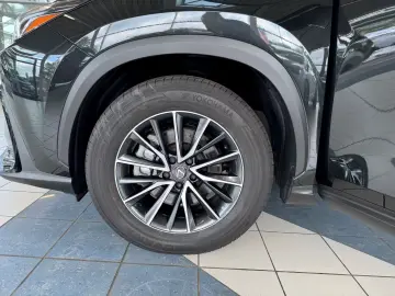Lexus NX 450h  E-FOUR Business AHK Leather Electric S