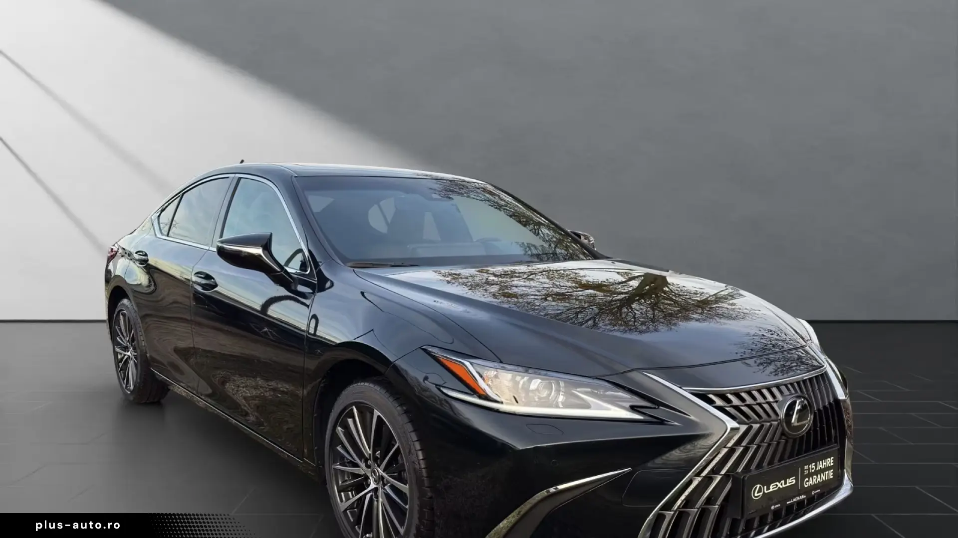Lexus ES 300 h  BUSINESS