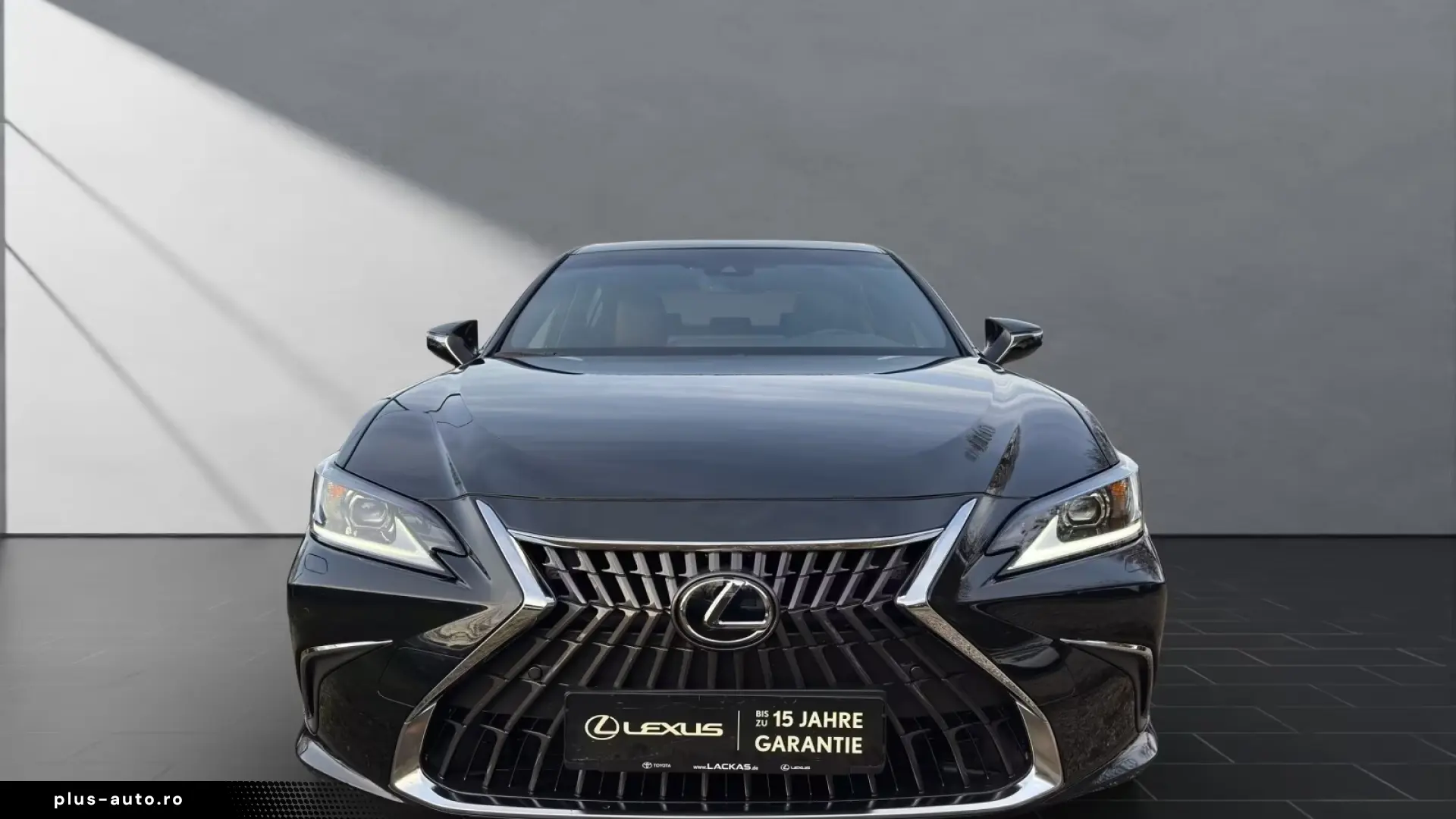 Lexus ES 300 h  BUSINESS