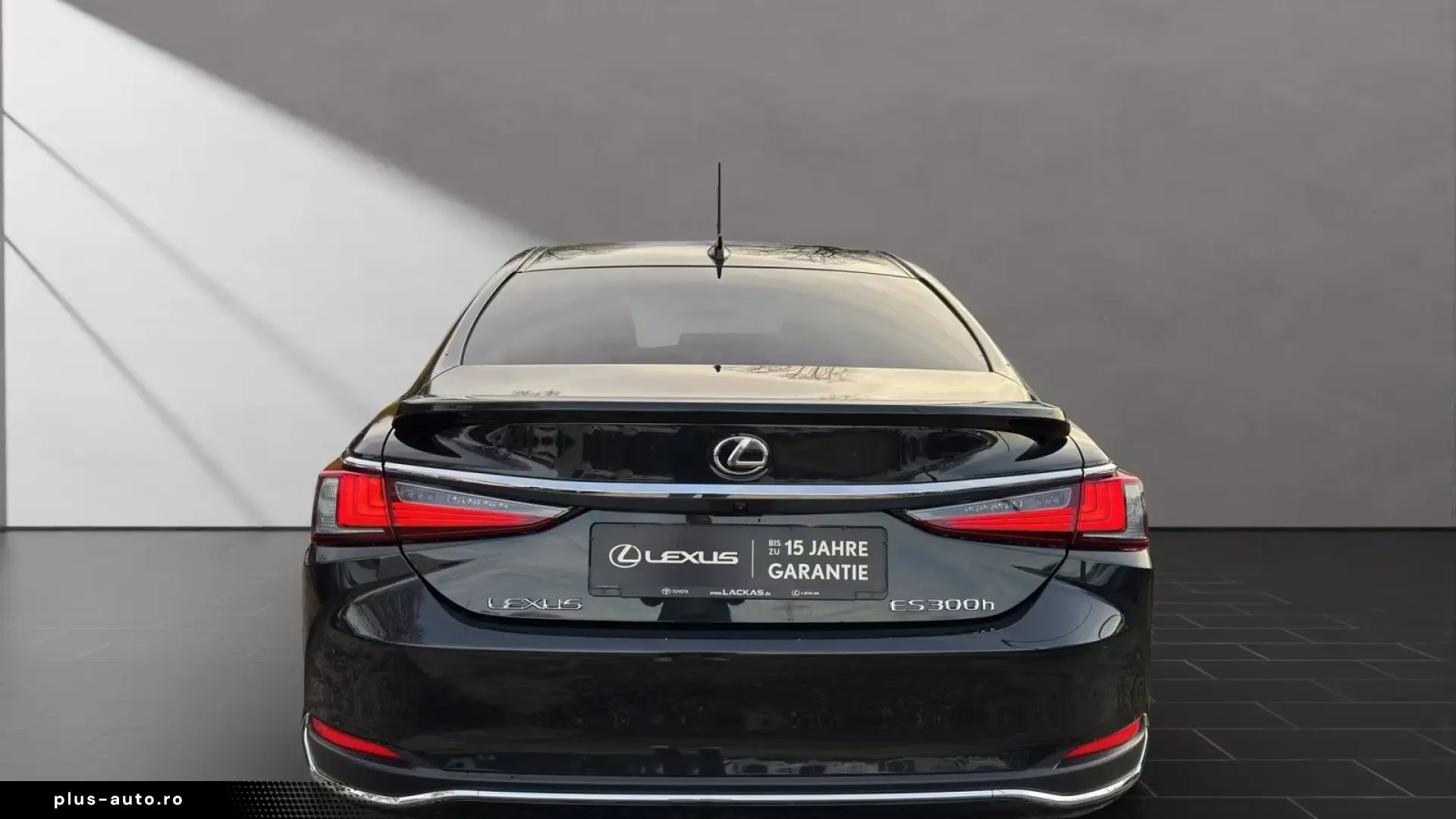 Lexus ES 300 h  BUSINESS