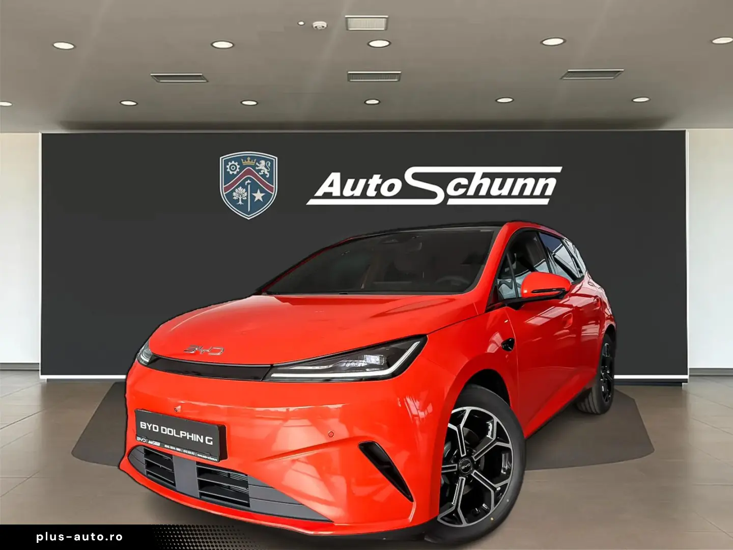 Byd Dolphin