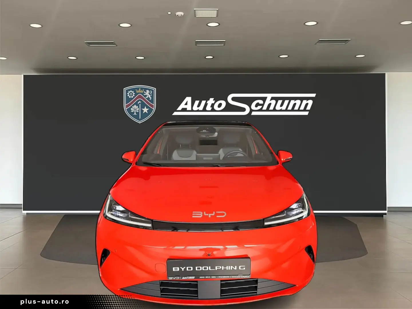 Byd Dolphin