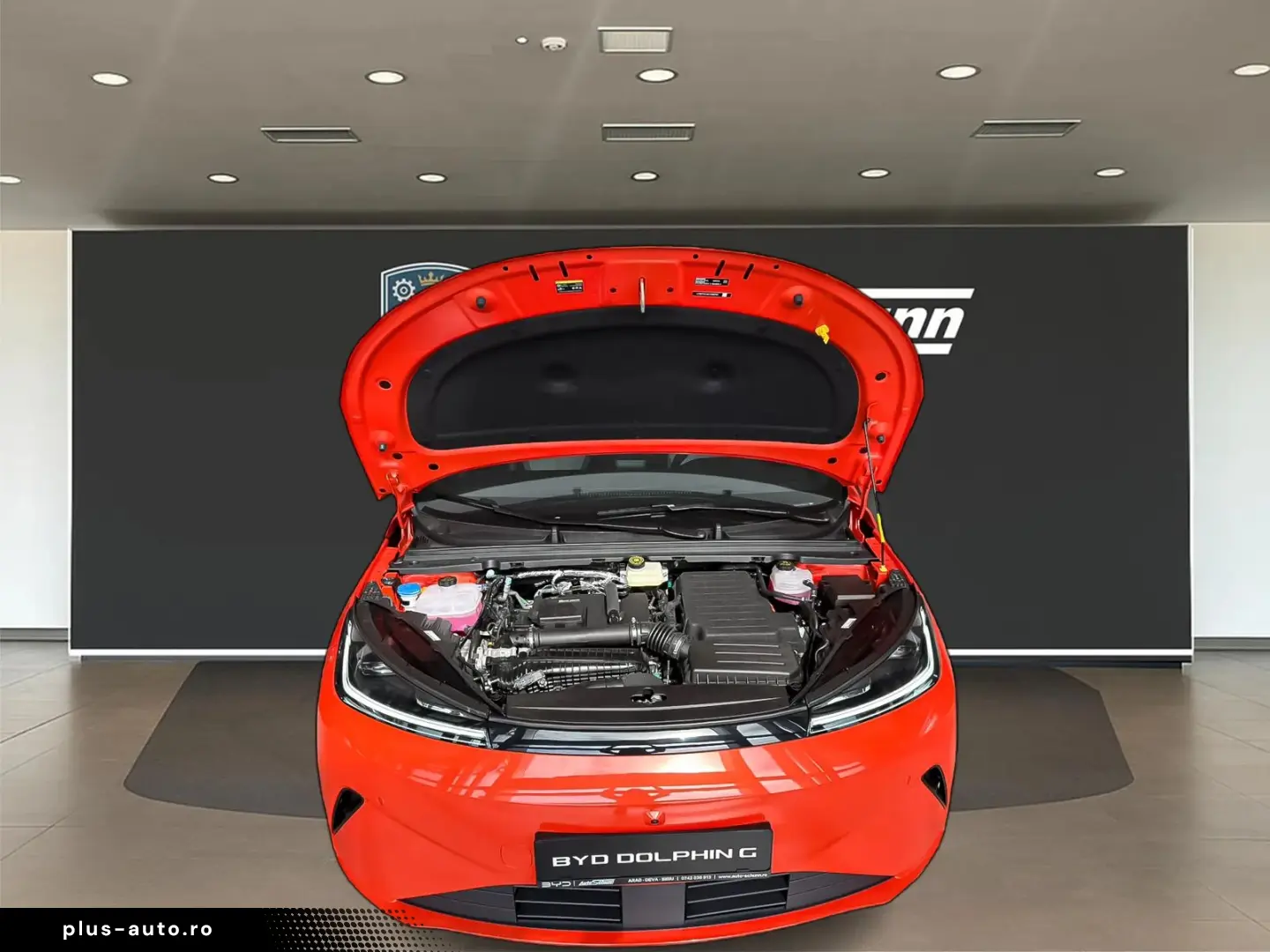Byd Dolphin