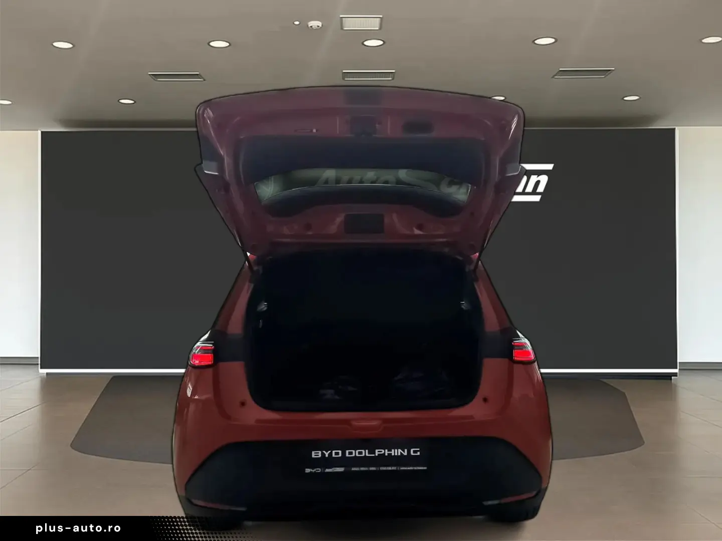 Byd Dolphin