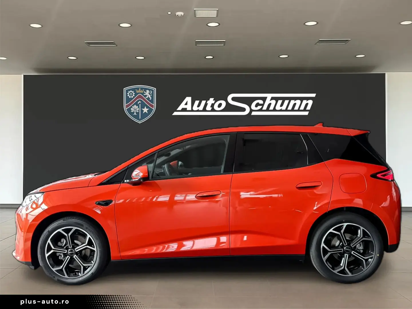 Byd Dolphin