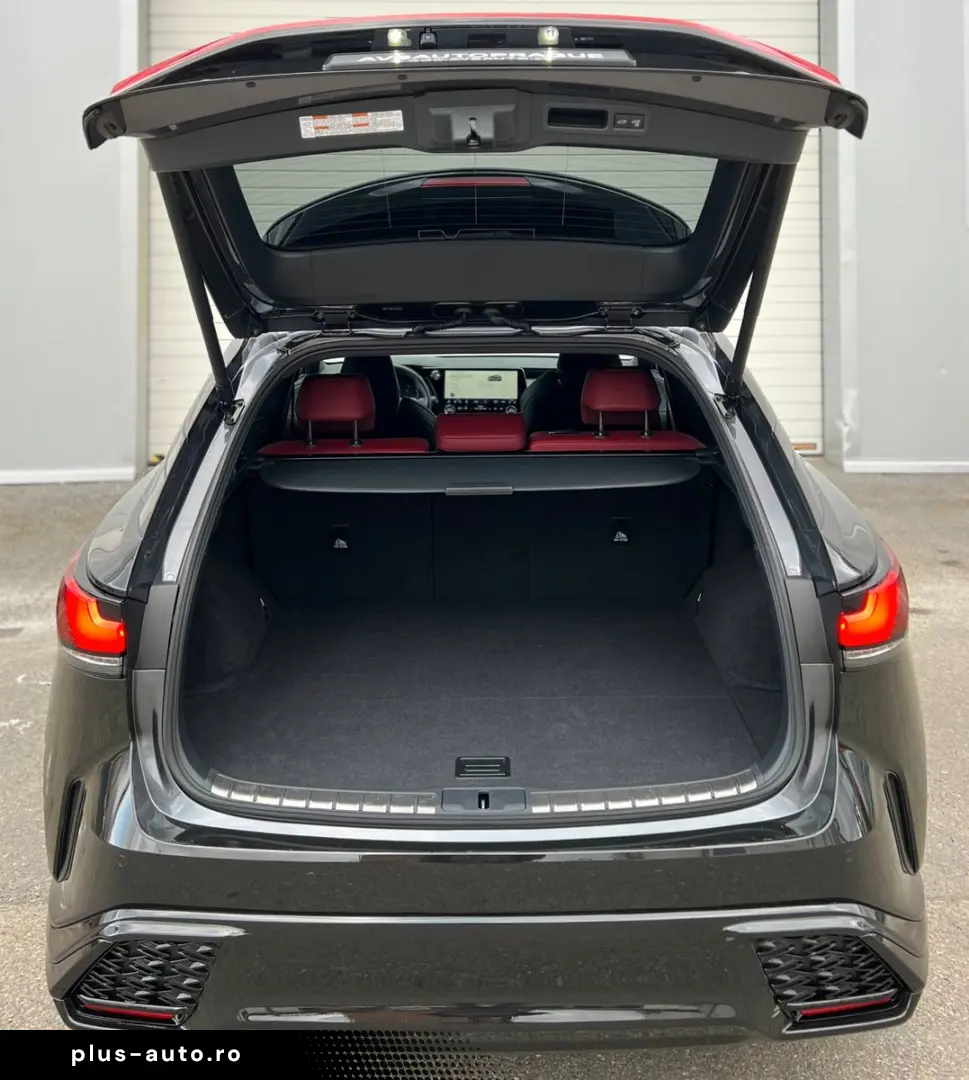 LEXUS RX 2024 — imagine 8