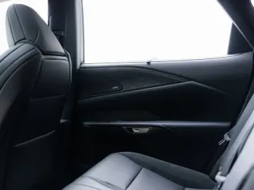 LEXUS RX 500h   F Sport Line   Custom