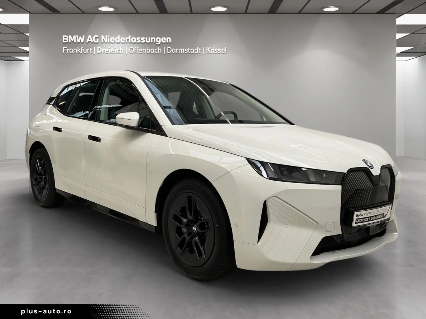 BMW iX xDrive45 Driv.Assist  Harman K Kamera LED
