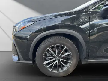 LEXUS NX 450h  Executive Line E-Four Interieur Techno.