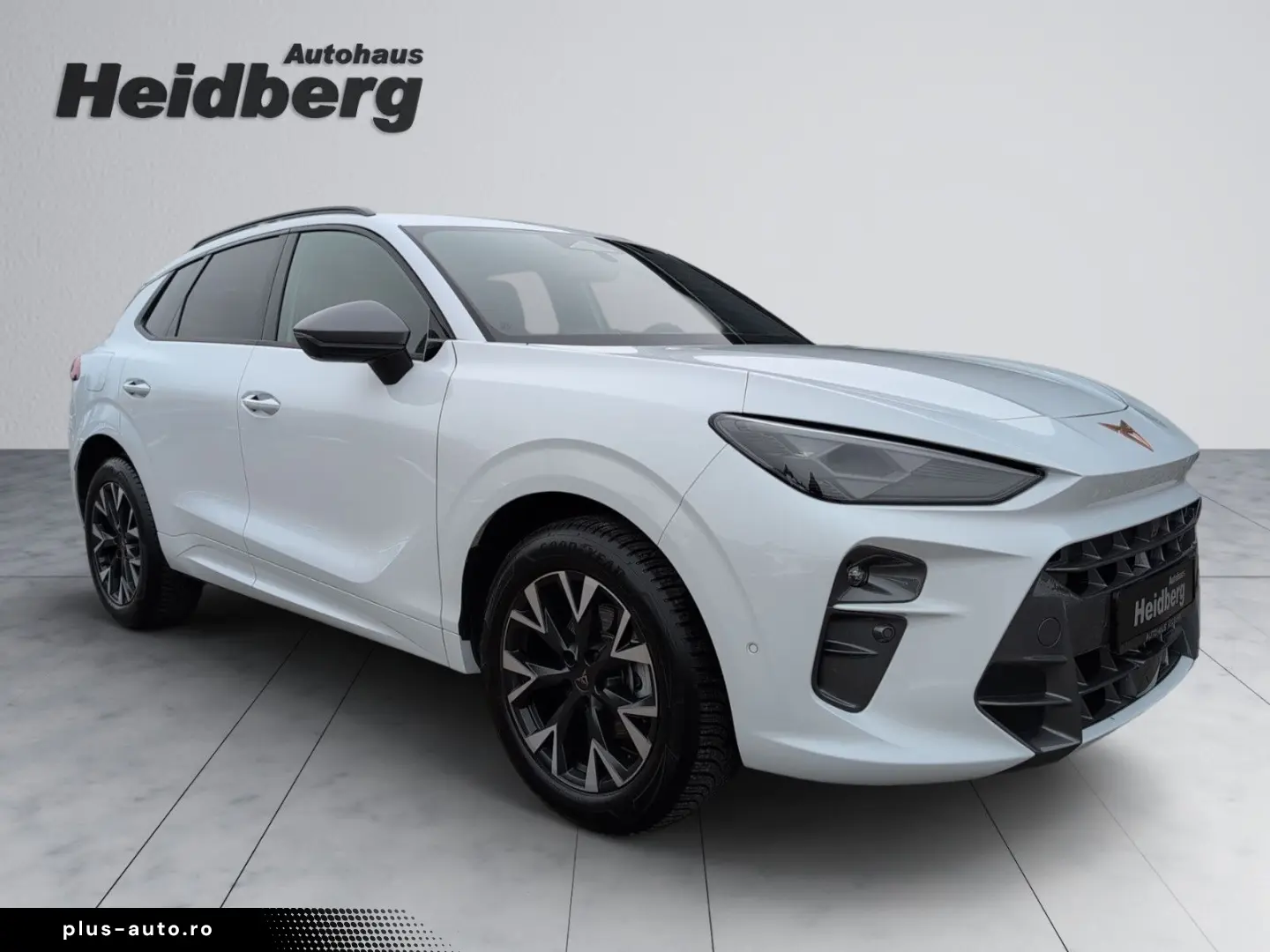 CUPRA Terramar 1.5 eTSI Edge HuD 360  18 Allwetter ACC