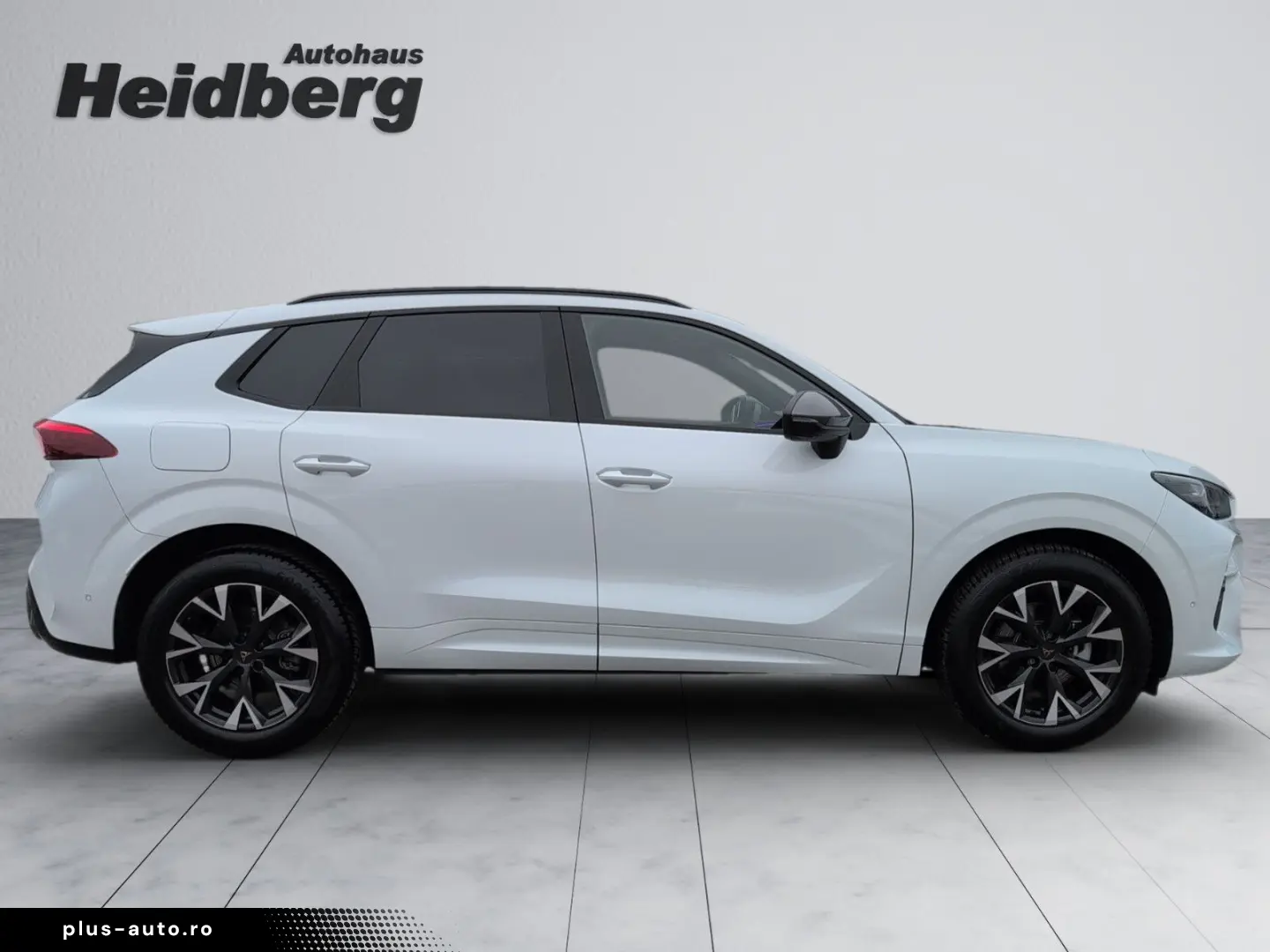 CUPRA Terramar 1.5 eTSI Edge HuD 360  18 Allwetter ACC