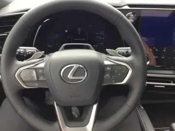 Lexus RX 450 RX450h  F-Sport Design Alle Extras