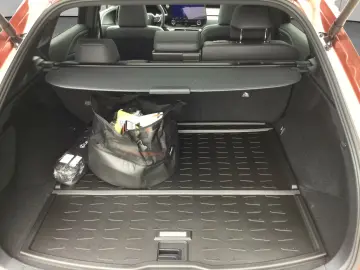 Lexus RX 450 RX450h  F-Sport Design Alle Extras