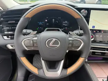 Lexus RX 450 h E-Four Luxury.360