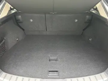 Lexus NX 350h E-Four Business NAVI