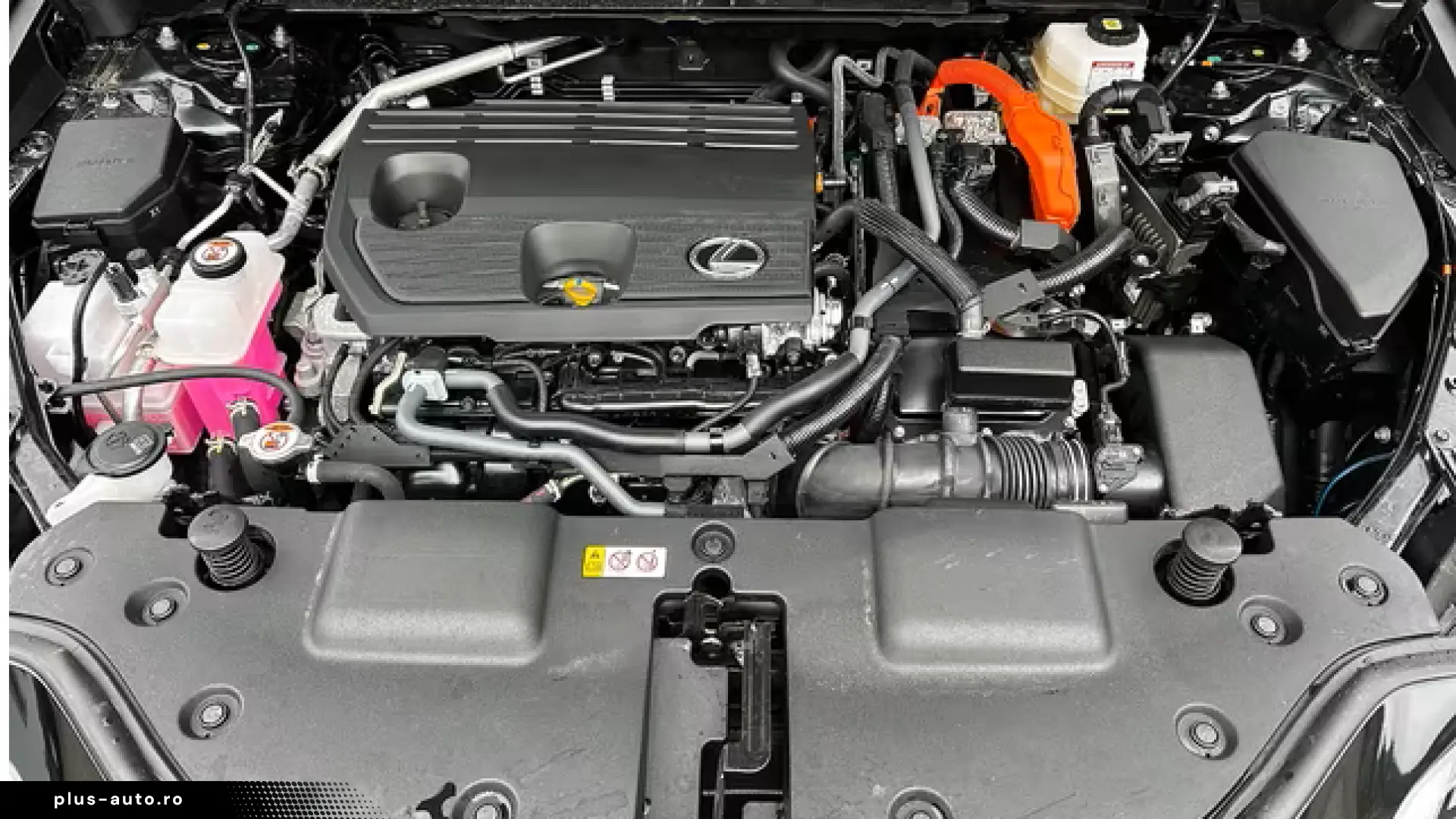 Lexus NX 350h E-Four Business NAVI