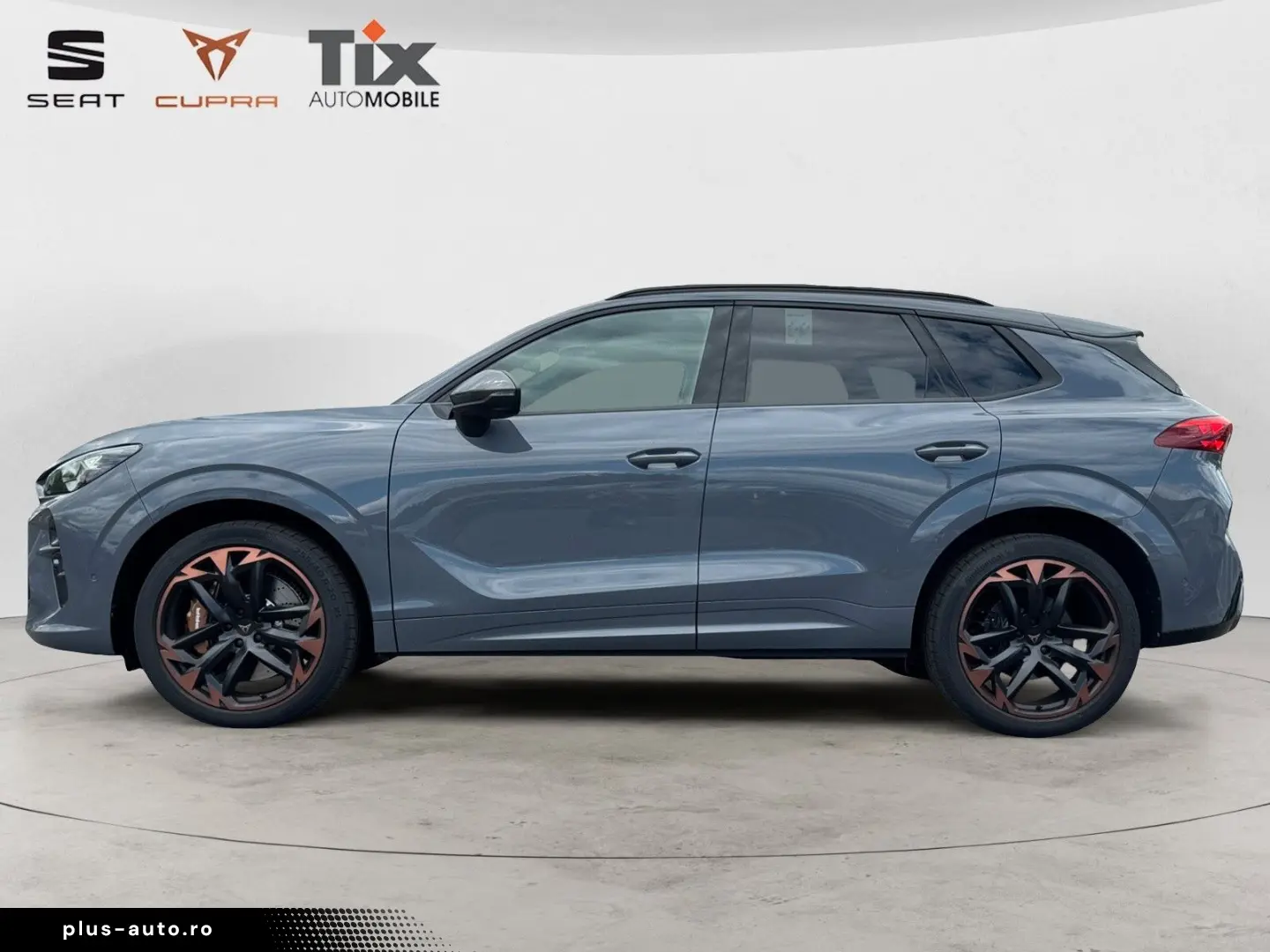 CUPRA Terramar VZ 2.0 TSI DSG 4D Pano Akebone Matrix