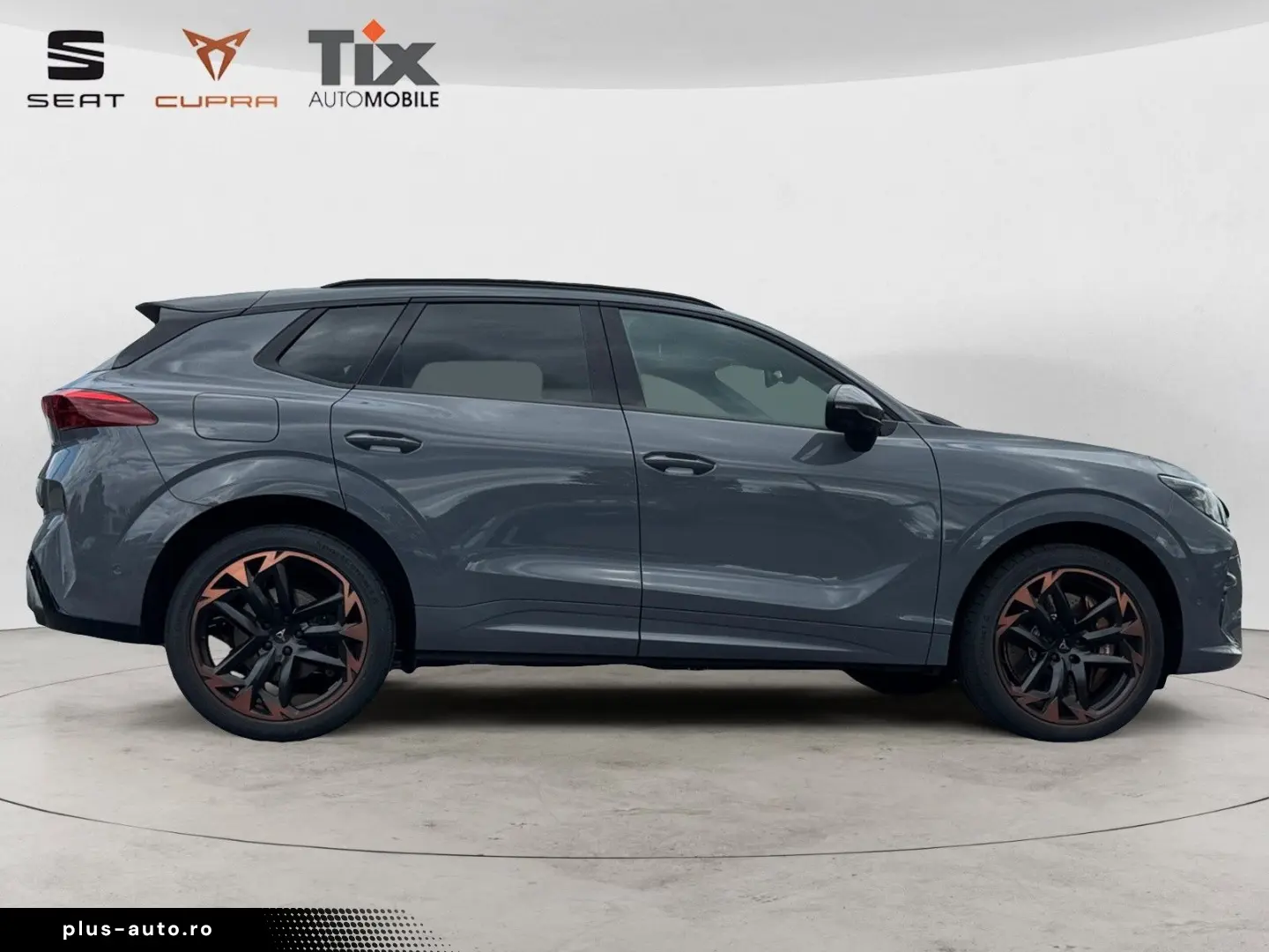 CUPRA Terramar VZ 2.0 TSI DSG 4D Pano Akebone Matrix
