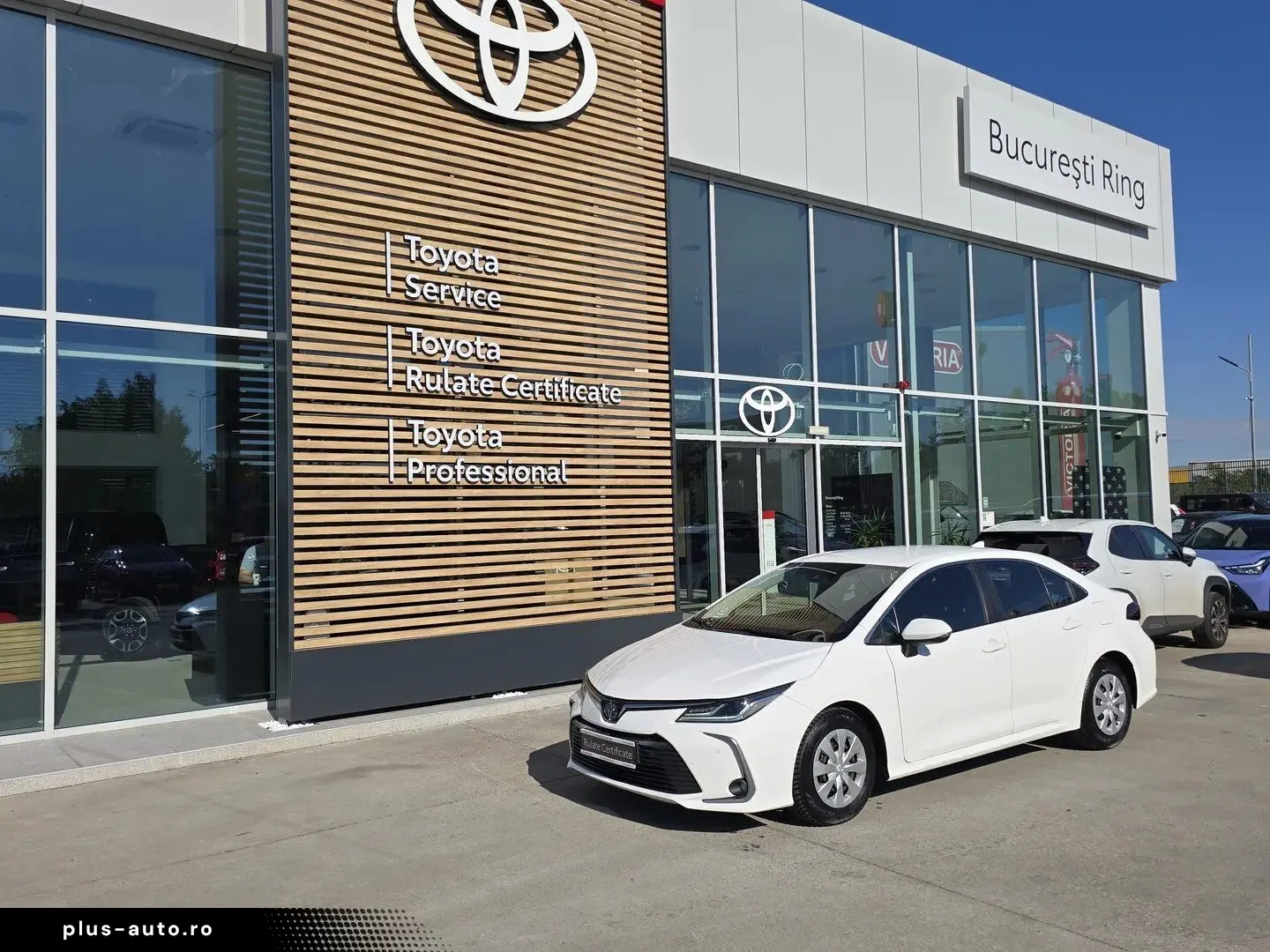 Toyota Corolla Hybrid - Business