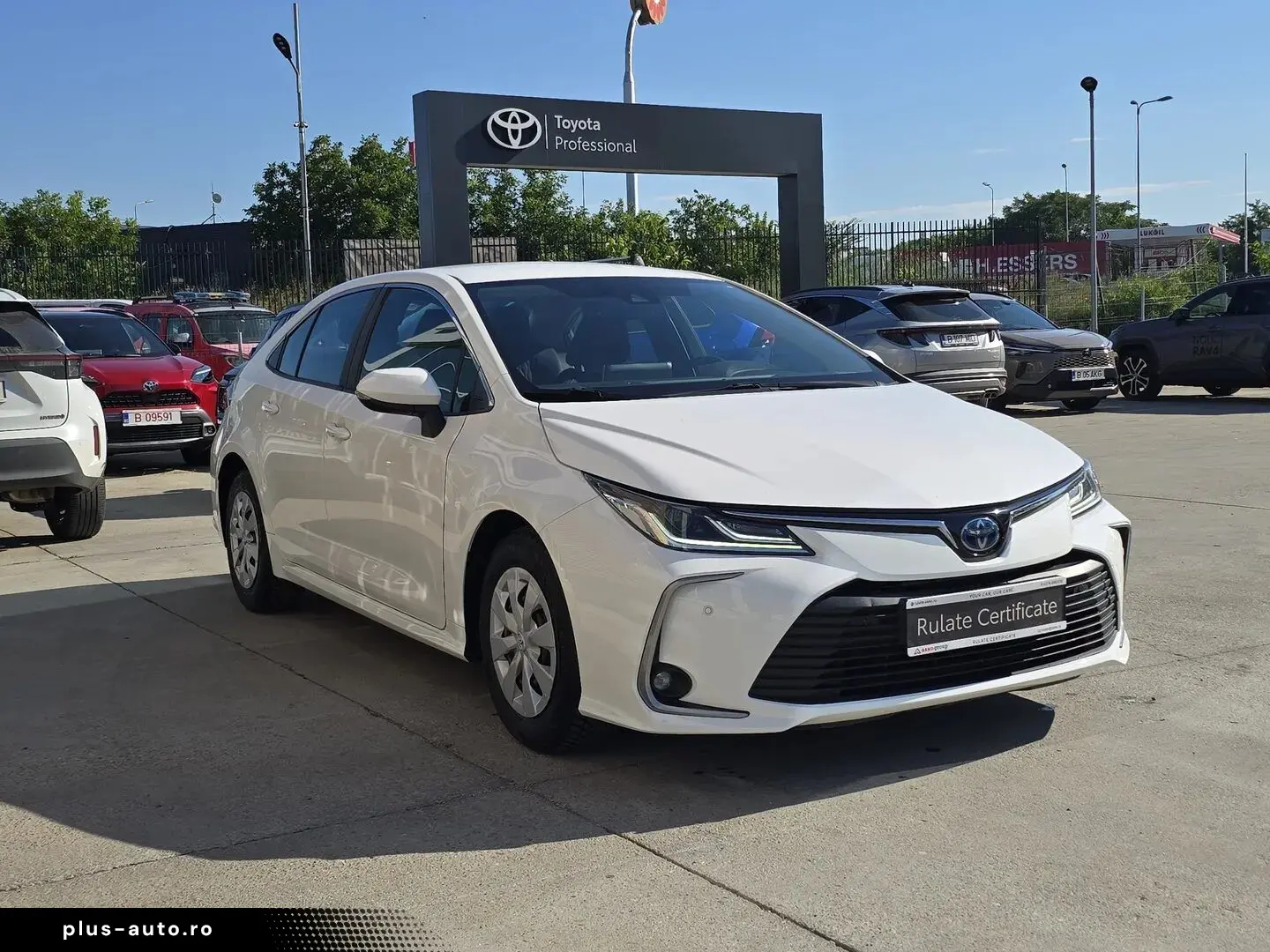Toyota Corolla Hybrid - Business