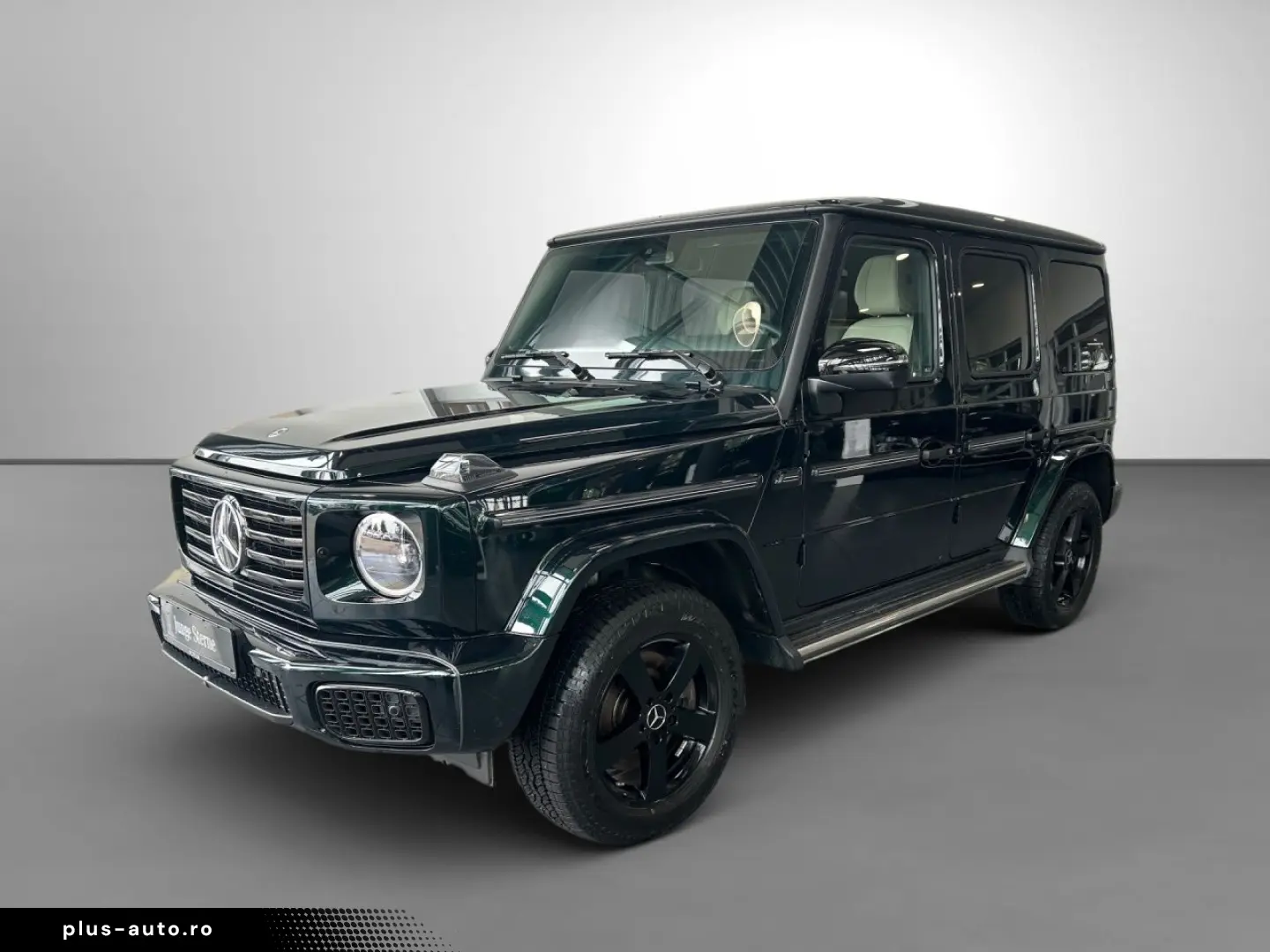 MERCEDES-BENZ G 450 d Exclusive AHK Technik SHD Nigh&hellip;