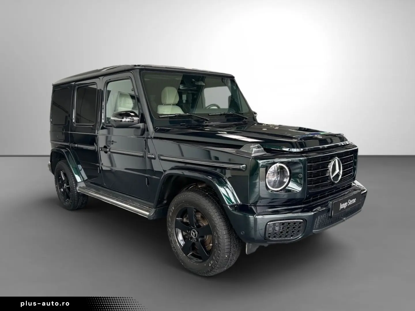 MERCEDES-BENZ G 450 d Exclusive AHK Technik SHD Nigh&hellip;