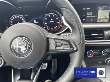ALFA ROMEO Stelvio 2.0 Turbo 16V Tributo Italiano