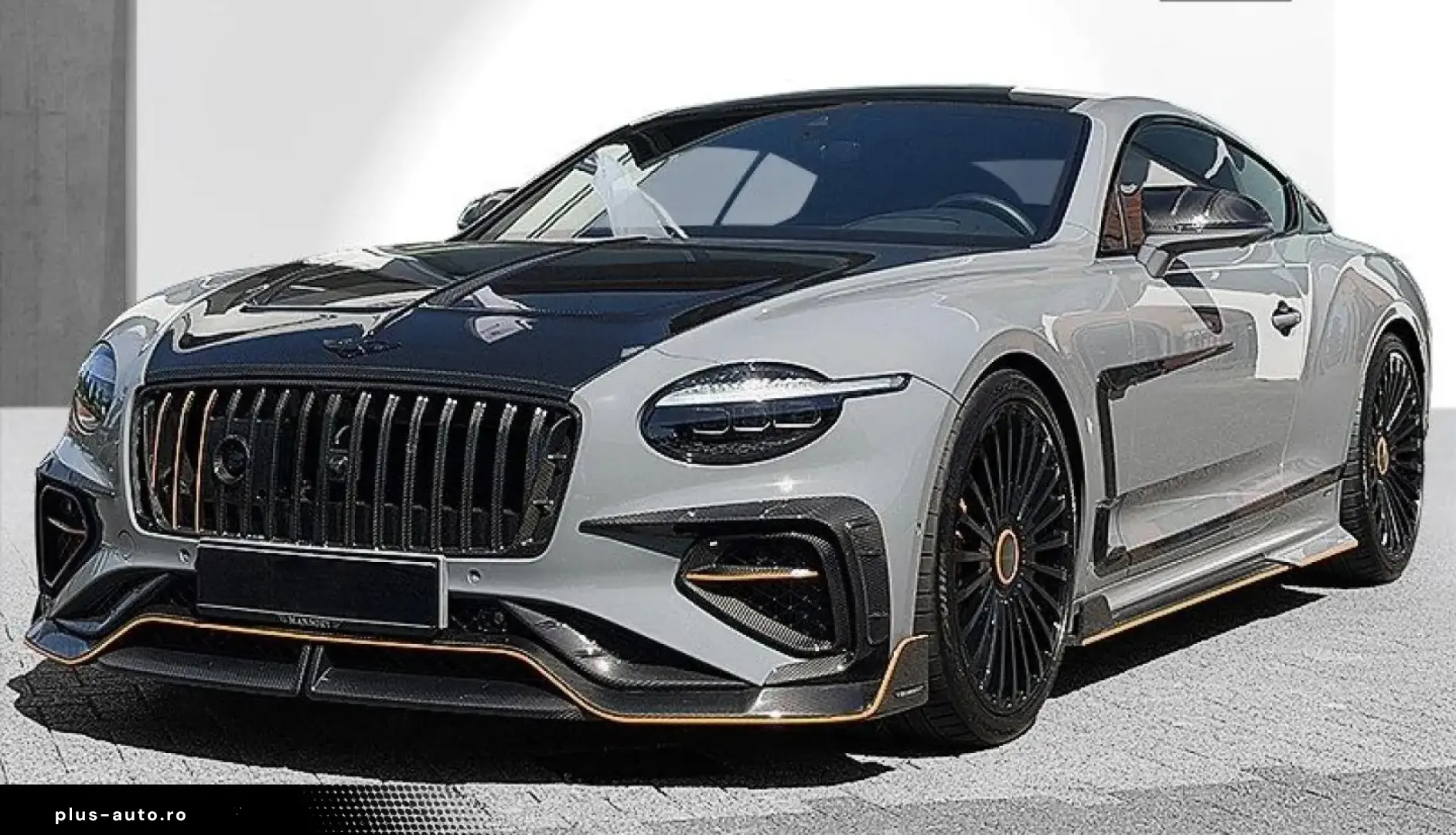 BENTLEY Continental GT  MANSORY 1of1  - Speed FE