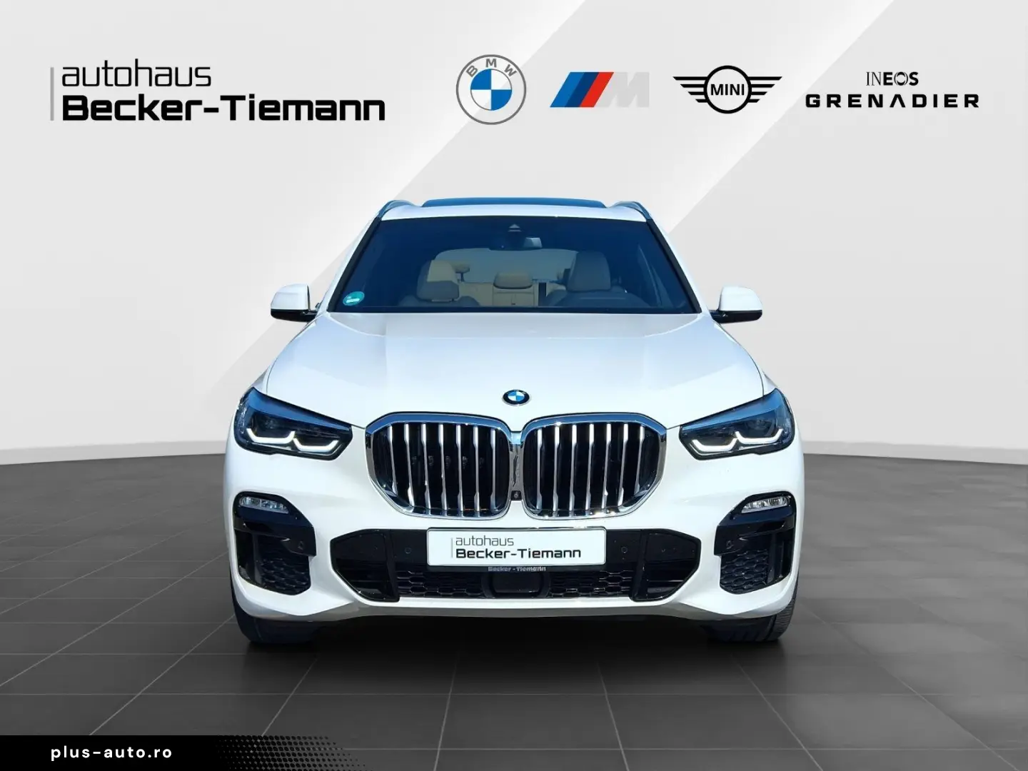 BMW X5 xDrive30d M Sport LED NAVI PANO Park  Ambient