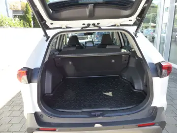 TOYOTA RAV4 Hybrid 4x2 Team D Techpaket Totwinkel