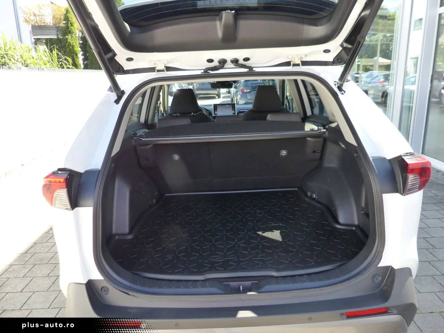 TOYOTA RAV4 Hybrid 4x2 Team D Techpaket Totwinkel