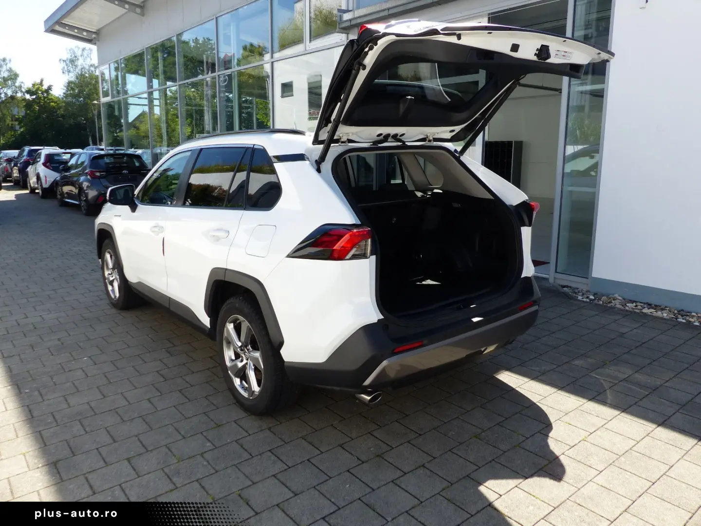 TOYOTA RAV4 Hybrid 4x2 Team D Techpaket Totwinkel