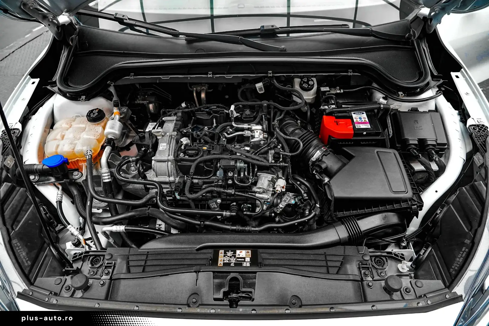 FORD Focus 2022 — imagine 21