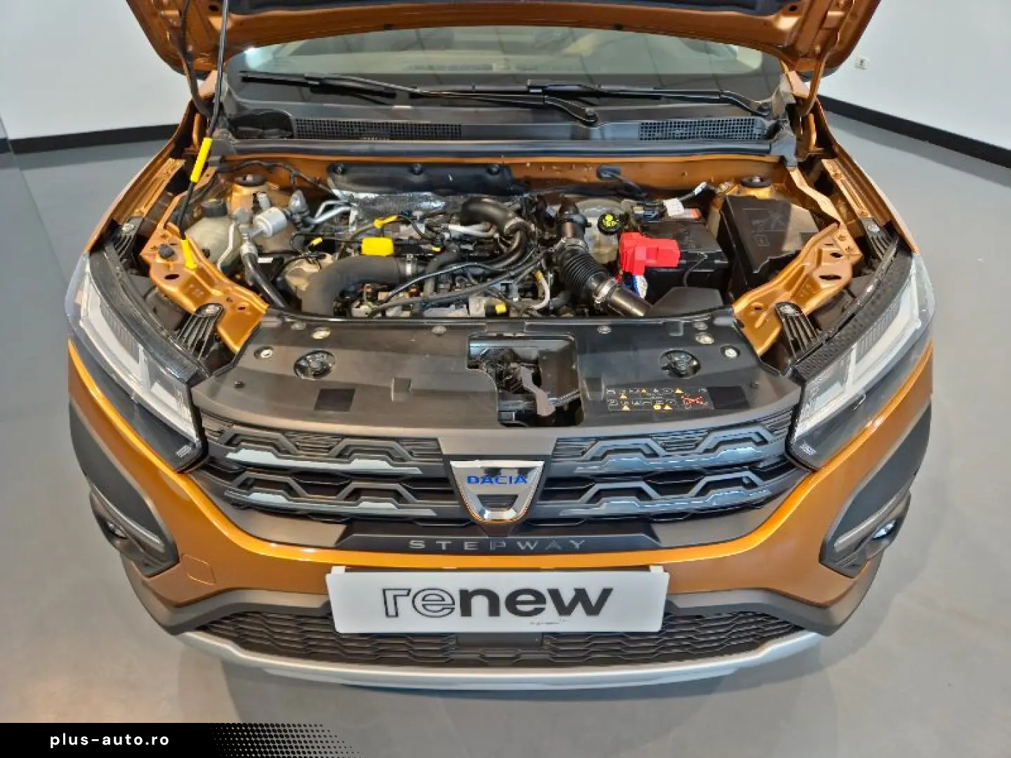 DACIA SANDERO 1.0 Eco-G 100CP Stepway Comfort