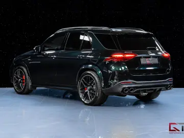 MERCEDES-BENZ GLE 53 AMG HYBRID 22  Nappa Pano Carbo…