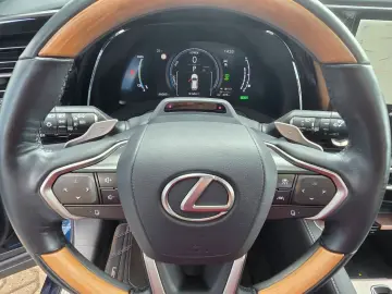 LEXUS RX 450h  E-Four Luxury Line