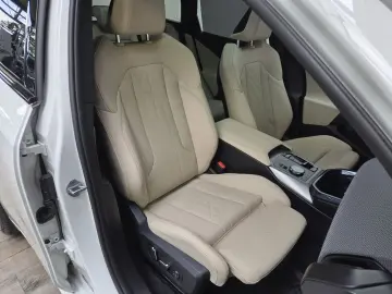 BMW X3 30e xDrive M Sport Standheizung AHK ACC 360