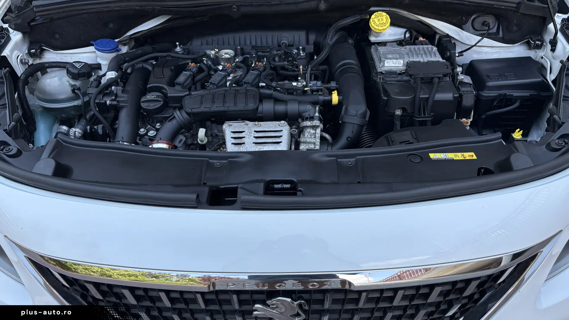 MOTOR REFACUT! 2008 Allure PANORAMIC 07 2018 AUTOMAT 110CP