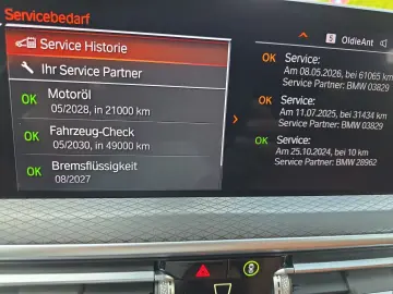 BMW X4 xDrive 30 d M Sport 360-Kamera ACC STDHZG AHG