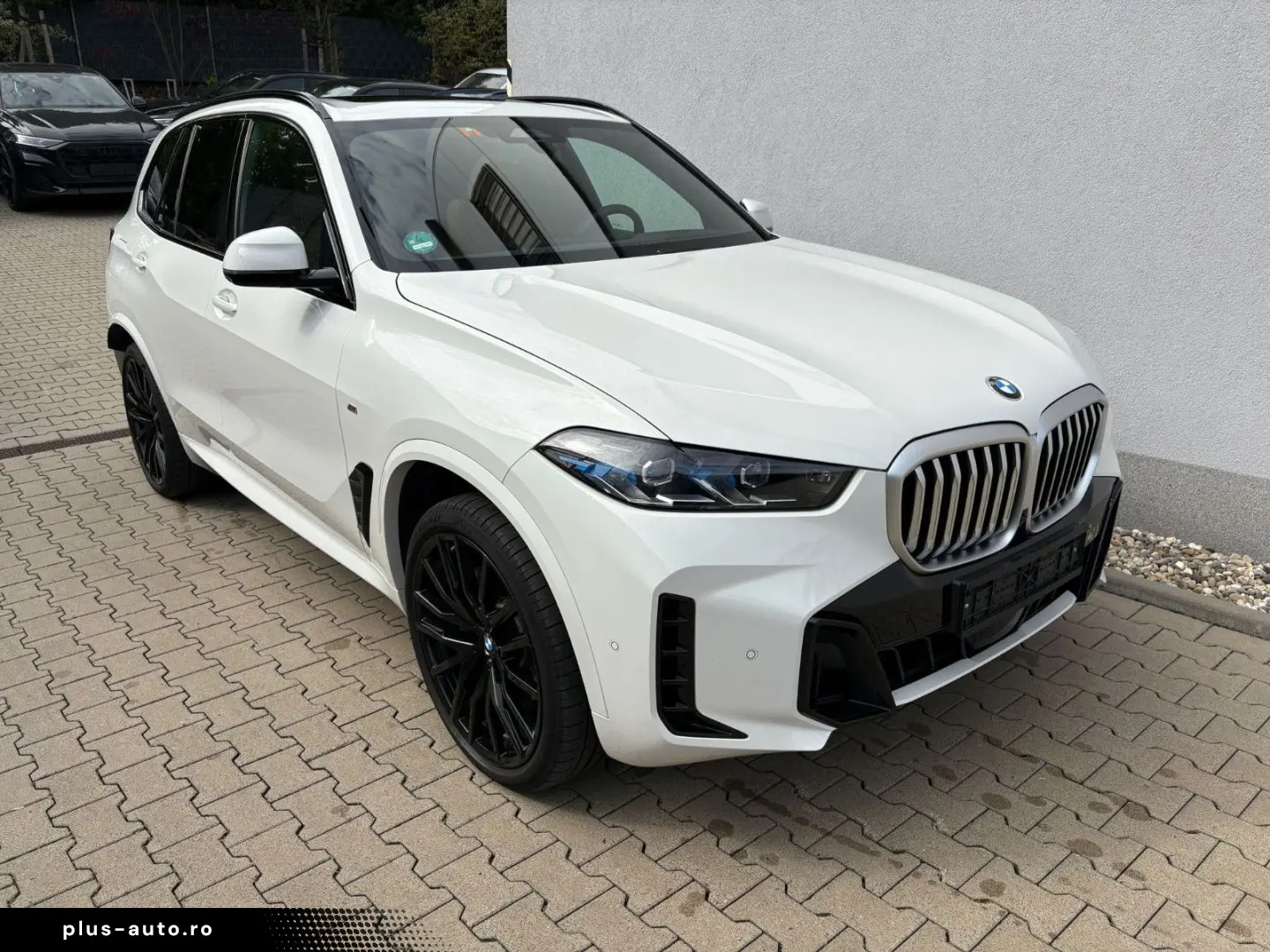 BMW X5 xDrive30d M Sport Panoramadach ICONIC