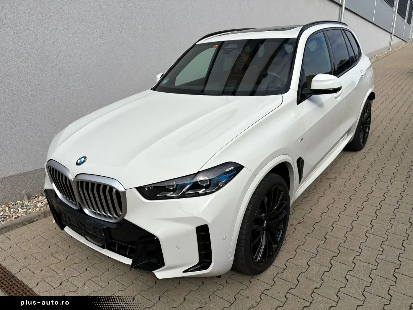 BMW X5 xDrive30d M Sport Panoramadach ICONIC