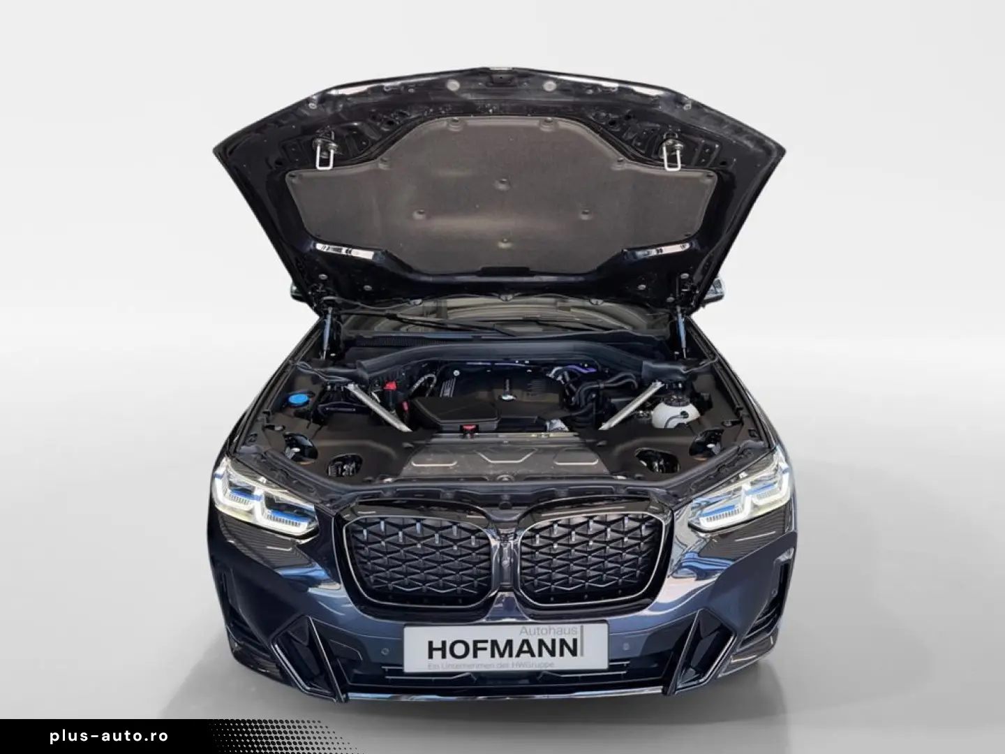 BMW X4 xDr20d MSpo 360 H&K Laser Keyless DrAsProfessional