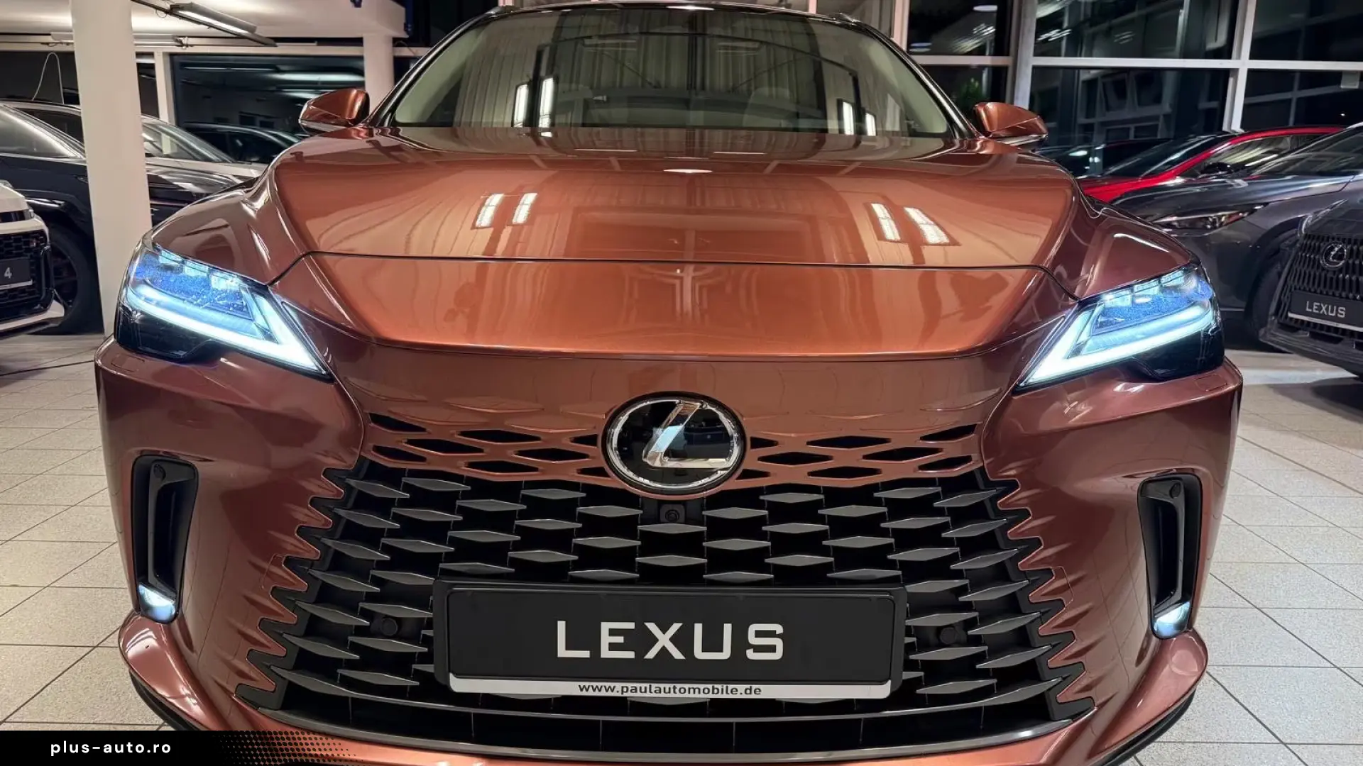 Lexus RX 450  - LUXURY-PANO.-MARK LEV-360 CAM