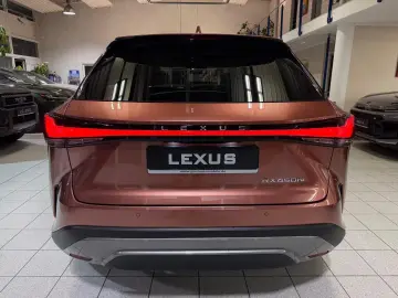 Lexus RX 450  - LUXURY-PANO.-MARK LEV-360 CAM