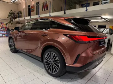 Lexus RX 450  - LUXURY-PANO.-MARK LEV-360 CAM